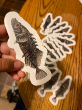 Load image into Gallery viewer, Brook Stickleback Stickers