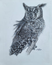 Load image into Gallery viewer, "McLeod" (Long Eared Owl) - Original (2021)