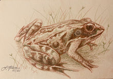 Load image into Gallery viewer, “Kermie” (Wood Frog) - Original (2021)