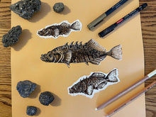 Load image into Gallery viewer, ‘Stickies’ (Brook Stickleback Fish) - Original (2021)