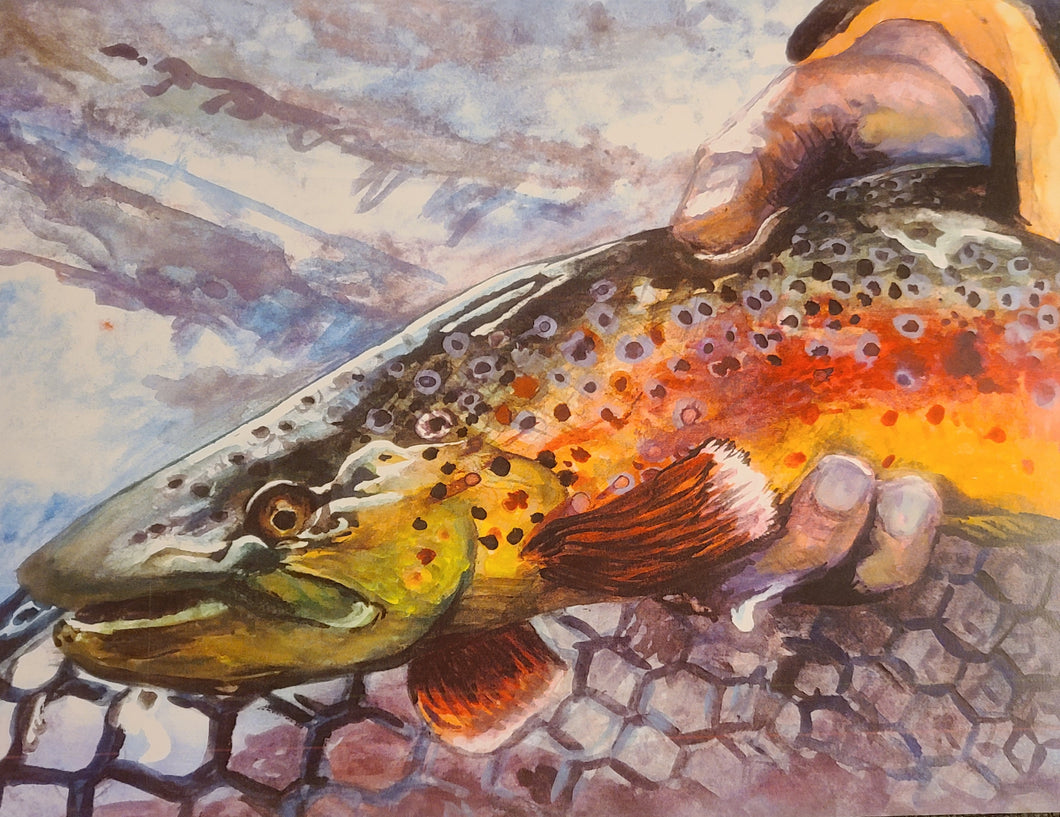 Brown Trout - Limited Print (2020)