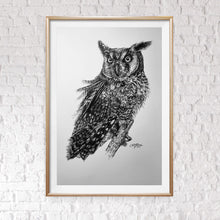 Load image into Gallery viewer, &quot;McLeod&quot; (Long Eared Owl) - Limited Print (2021)
