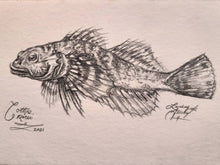 Load image into Gallery viewer, &#39;Cottus ricei&#39; (2021) - Spoonhead Sculpin

