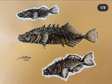 Load image into Gallery viewer, Brook Stickleback Stickers
