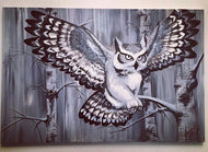 50 Shades of Great Horned Owl (2017)