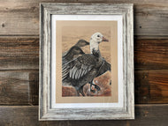 Blue Goose Gaggle