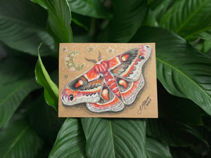 Day 2 - Cecropia Moth