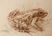 Load image into Gallery viewer, “Kermie” (Wood Frog) - Original (2021)
