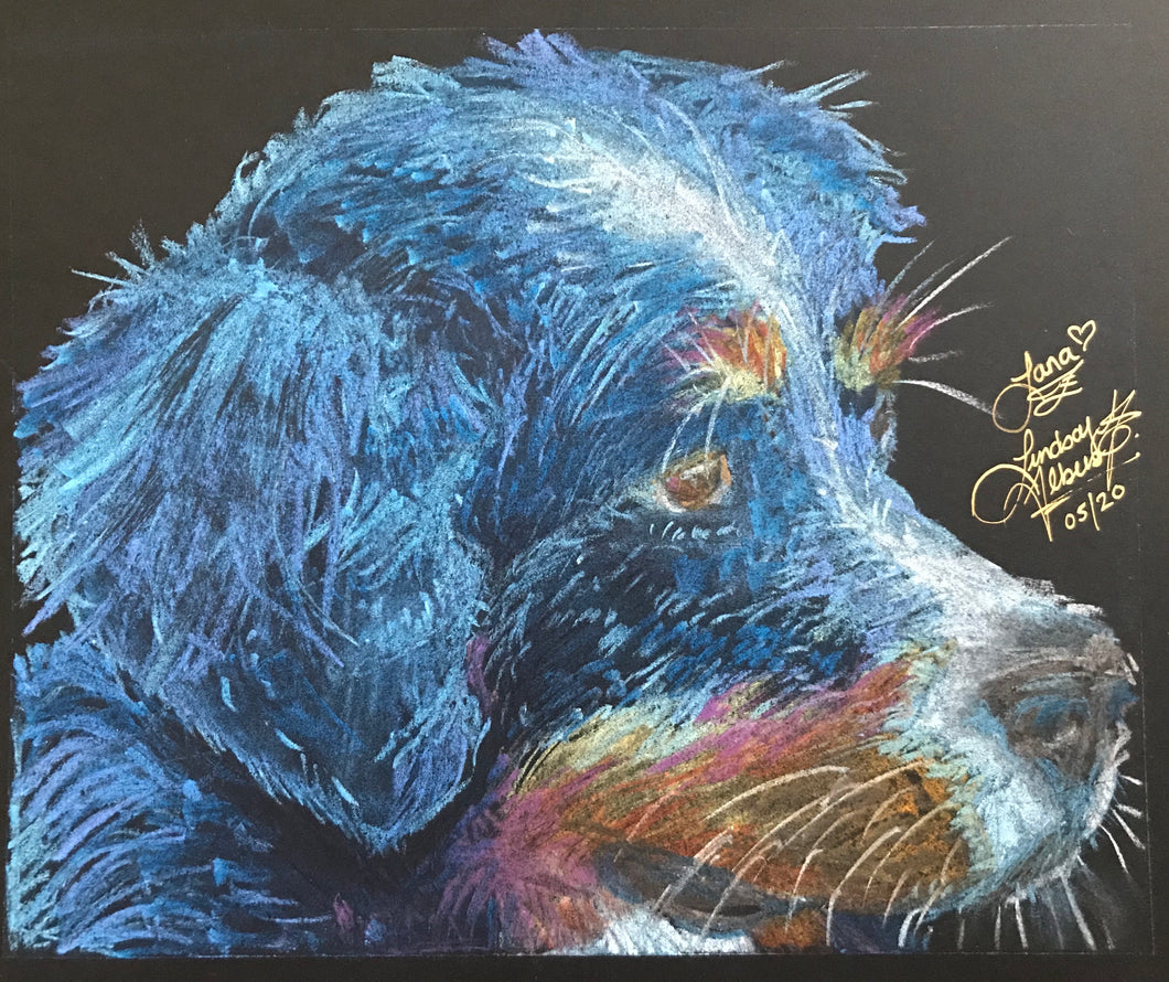 Lana, The Family Bernese (2020)