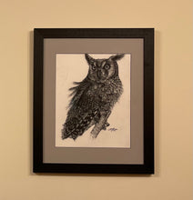 Load image into Gallery viewer, &quot;McLeod&quot; (Long Eared Owl) - Original (2021)
