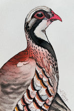 Load image into Gallery viewer, GAME BIRDS - 25 Card Pack (2022)
