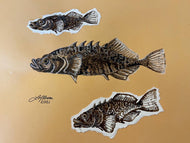 ‘Stickies’ (Brook Stickleback Fish) - Original (2021)