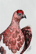 GAME BIRDS - 25 Card Pack (2022)