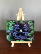 Indigo Pansy Original