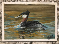 Red Necked Grebe Original