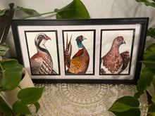 Load image into Gallery viewer, Game Bird Originals
